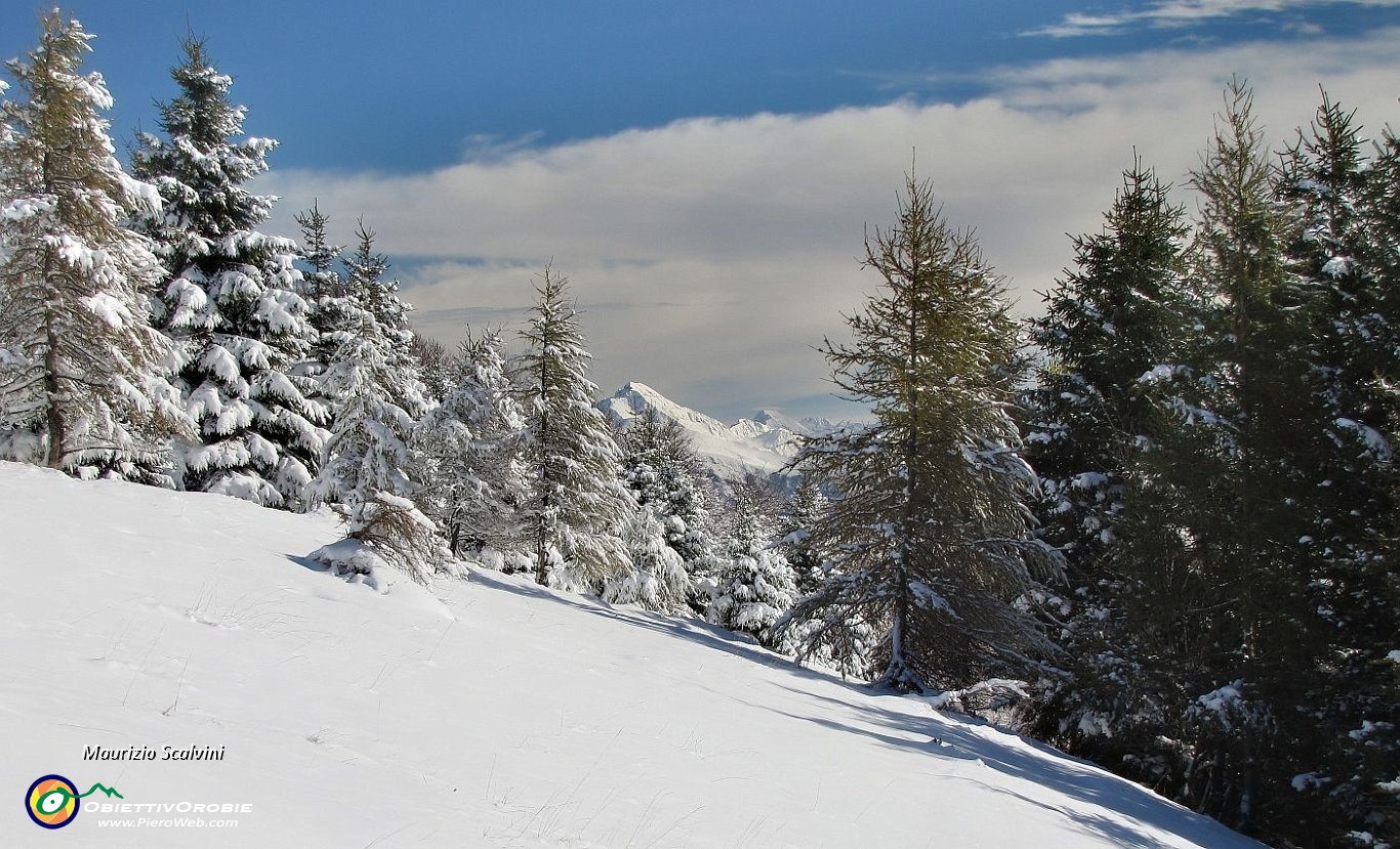 22 Panorama d'Arera....JPG